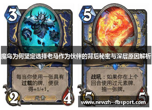 魔鸟为何坚定选择老马作为伙伴的背后秘密与深层原因解析